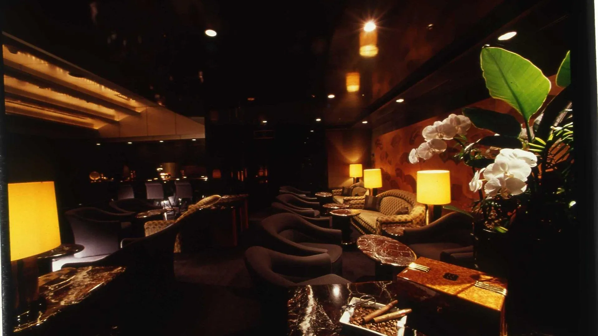 Hotel Seiyo Ginza Tokyo 5*,